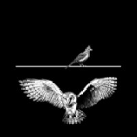 Owl + Lark | #circadianfitness Logo