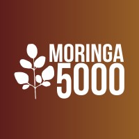 Moringa 5000 Logo