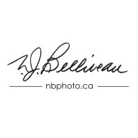 Nicholas Belliveau Photography Logo