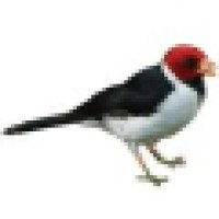 Free As A Bird Limited Logo