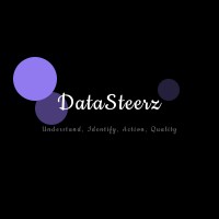 DataSteerz Logo