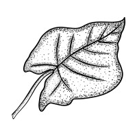 Greenden Logo