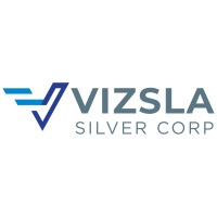 Vizsla Silver Logo