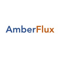 AmberFlux EdgeAI Private Limited Logo