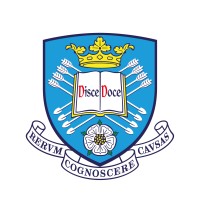 Department of Civil & Structural Engineering (University of Sheffield) Logo