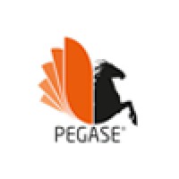 PEGASE Informatique & Solutions IP Logo