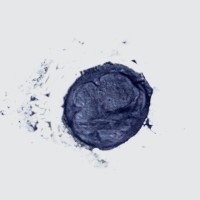 Oregon Blueberry Logo