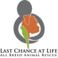 Last Chance at Life All Breed Rescue and Adoption Logo
