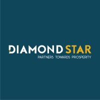 Diamond Star Financial Services Logo