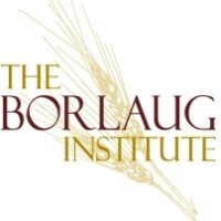 Borlaug Institute for International Agriculture Logo