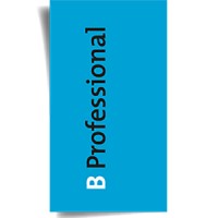 B Professional B.V. Logo