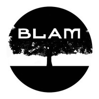 BLAM Charity ( Black Learning Achievement and Mental Health) Logo