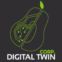 Digital Twin Corporation Logo