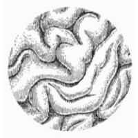 Centro Clinico Sempione Logo