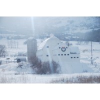 SmileSmileSmile Logo