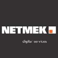 NETMEK Logo