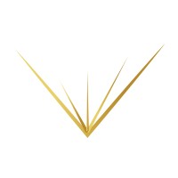 Life By Design Academy Logo