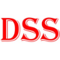 Digital Security Solutions Logo