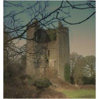 Merriman Research & Training Ltd Logo