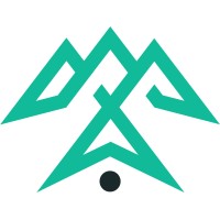 digifly - Your Ecommerce CLV Experts Logo