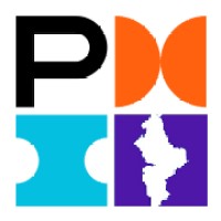 Capítulo Nuevo León PMI Logo