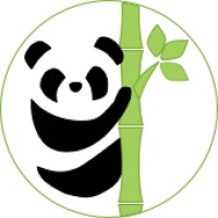 Panda Insight Logo