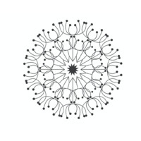 Amanda Gallagher Orthodontics Logo