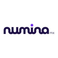 Numina Logo