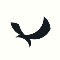 North Eagle Logo