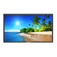 Professional Outdoor TV Logo