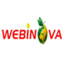 Webinova E-commerce Solutions LLP Logo