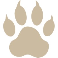 GreenBear Sàrl Logo