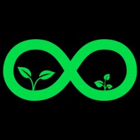 Infinity Green Game Studio Logo