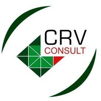 CRV CONSULT Logo