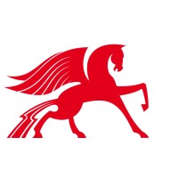 wollmerstaedt.synapsys Logo