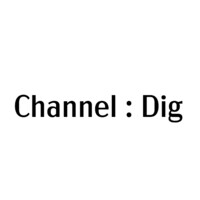 Channel:Dig Logo
