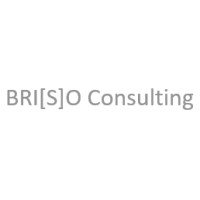 BRIZO Consulting Deutschland GmbH Logo