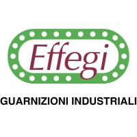 Effegi Srl Logo