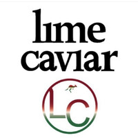 The Lime Caviar Company Logo