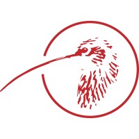 Curlew Accounting Logo