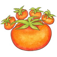 Clemson Area Food Exchange (CAFE) Logo