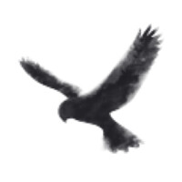 Stephenson Executive Search Logo