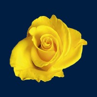 Runwood Homes Senior Living Logo