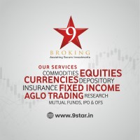 Nine Star Broking Pvt Ltd Logo