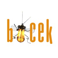 Böcek Films Logo