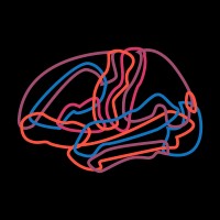 Brainsights Logo