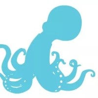 Octo Lights Logo