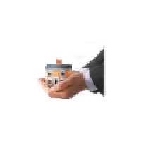 Salmon Insurance, LLC Logo