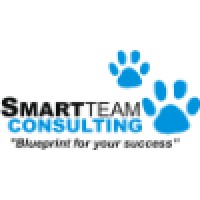 Smart Team Consulting Logo
