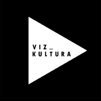 VIZKULTURA Logo